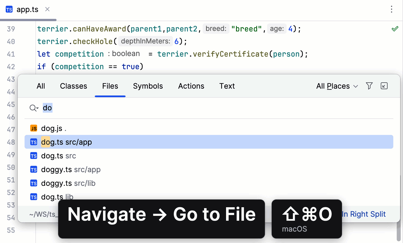 Presentation Assistant 显示当前调用的命令