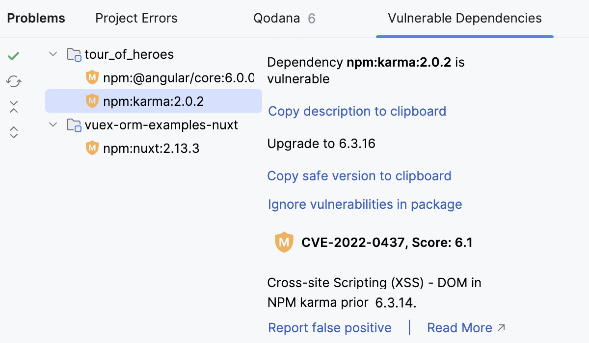 问题工具窗口：漏洞依赖项选项卡