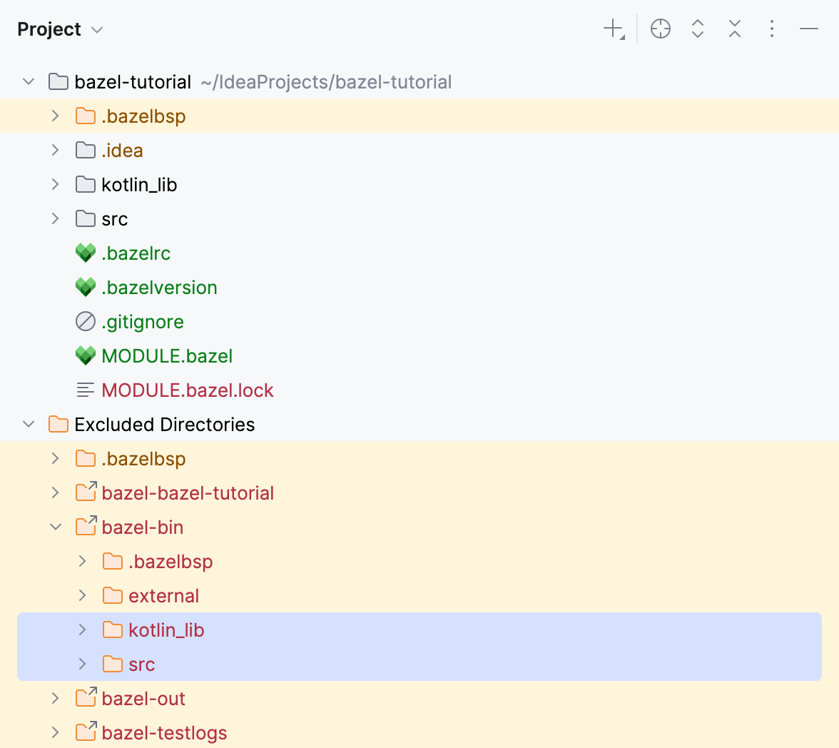 项目工具窗口中 bazel-bin 目录的内容