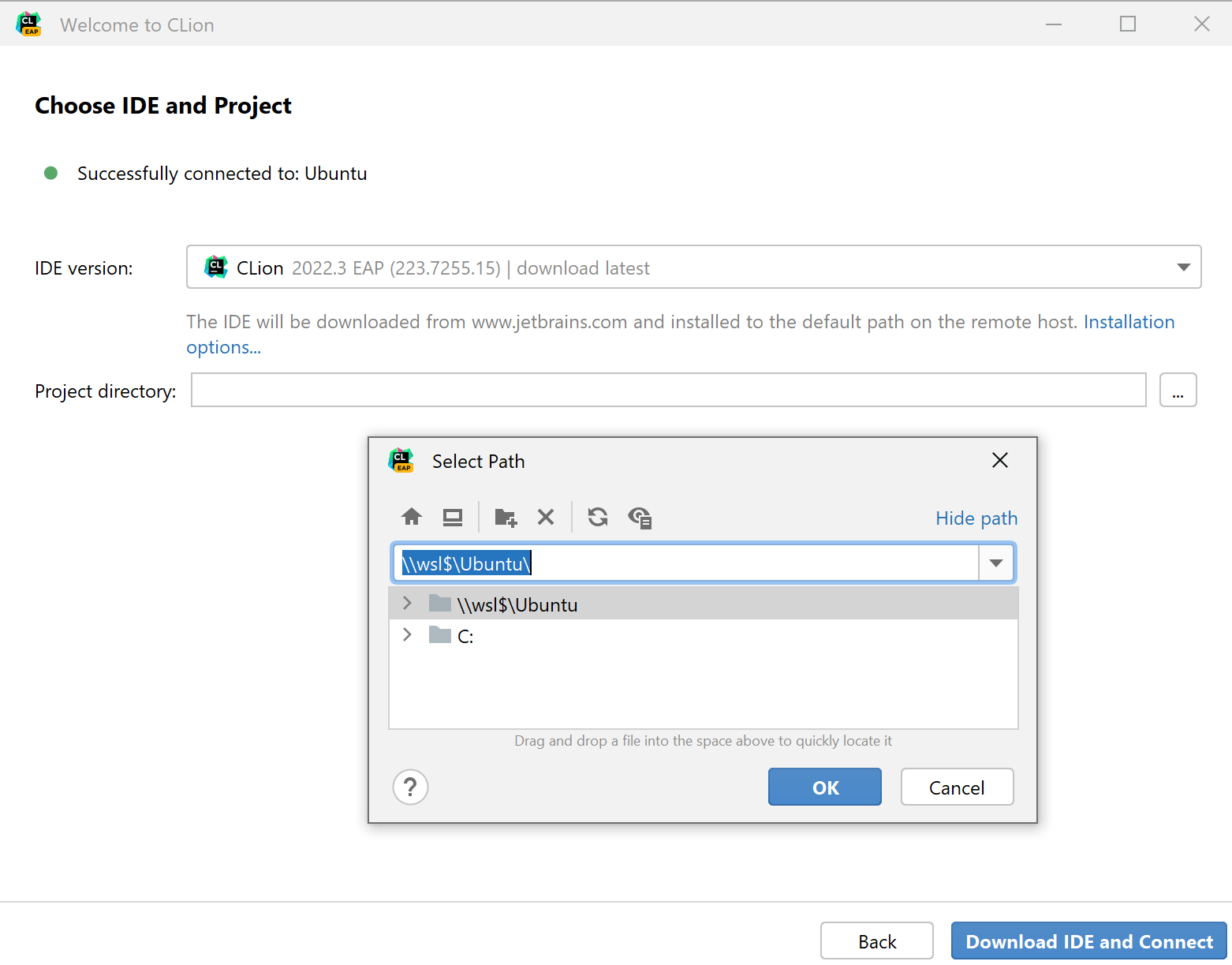 Choose the IDE version and a project Choose the IDE version and a project
