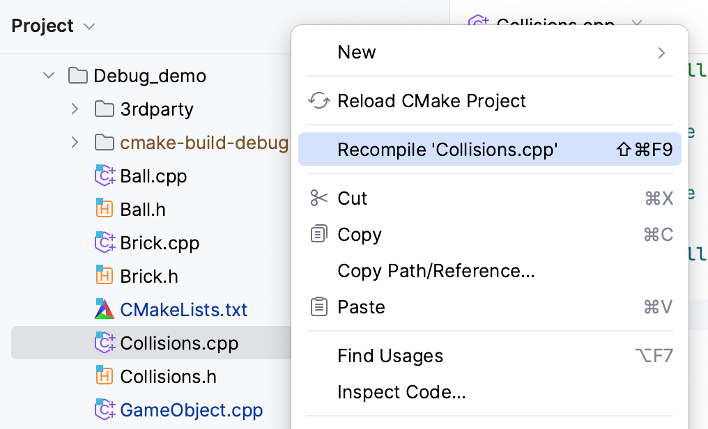Recompile from the right-click menu Recompile from the right-click menu