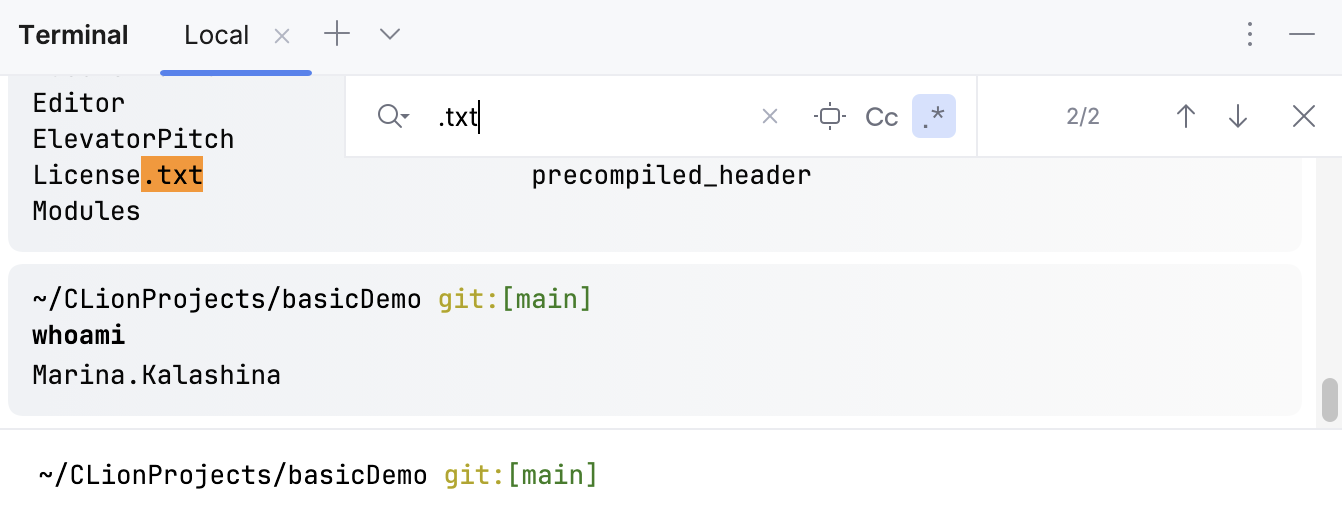 Searching in the Terminal Searching in the Terminal