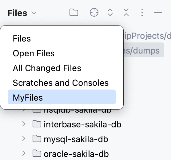 在文件工具窗口中显示的新范围 在文件工具窗口中显示的新范围