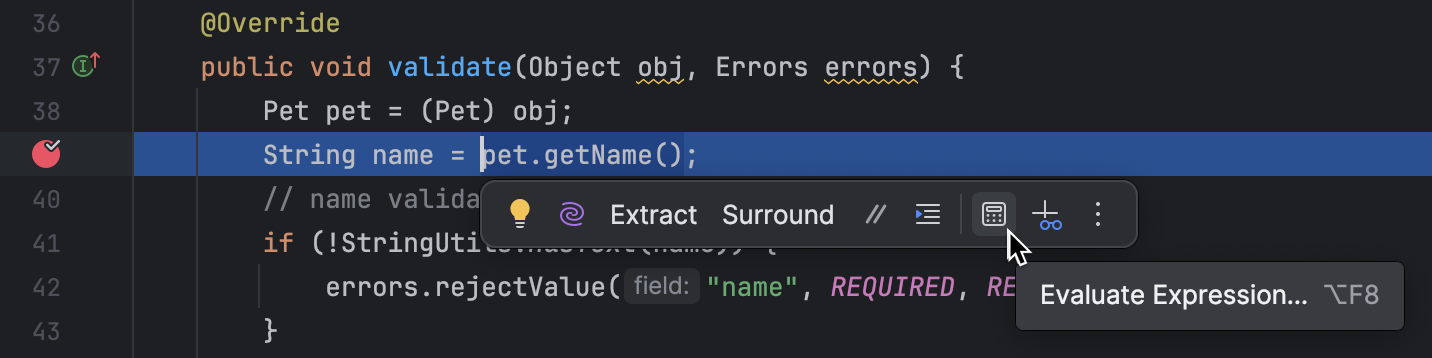 Evaluate Expression button in the floating toolbar Evaluate Expression button in the floating toolbar