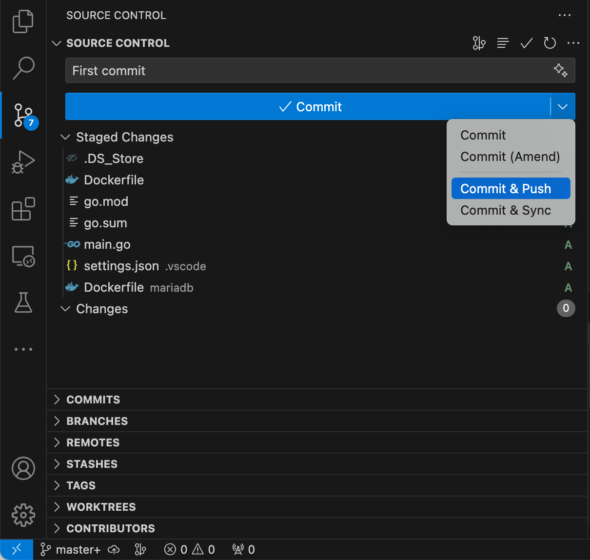 在版本控制系统中备份您的项目