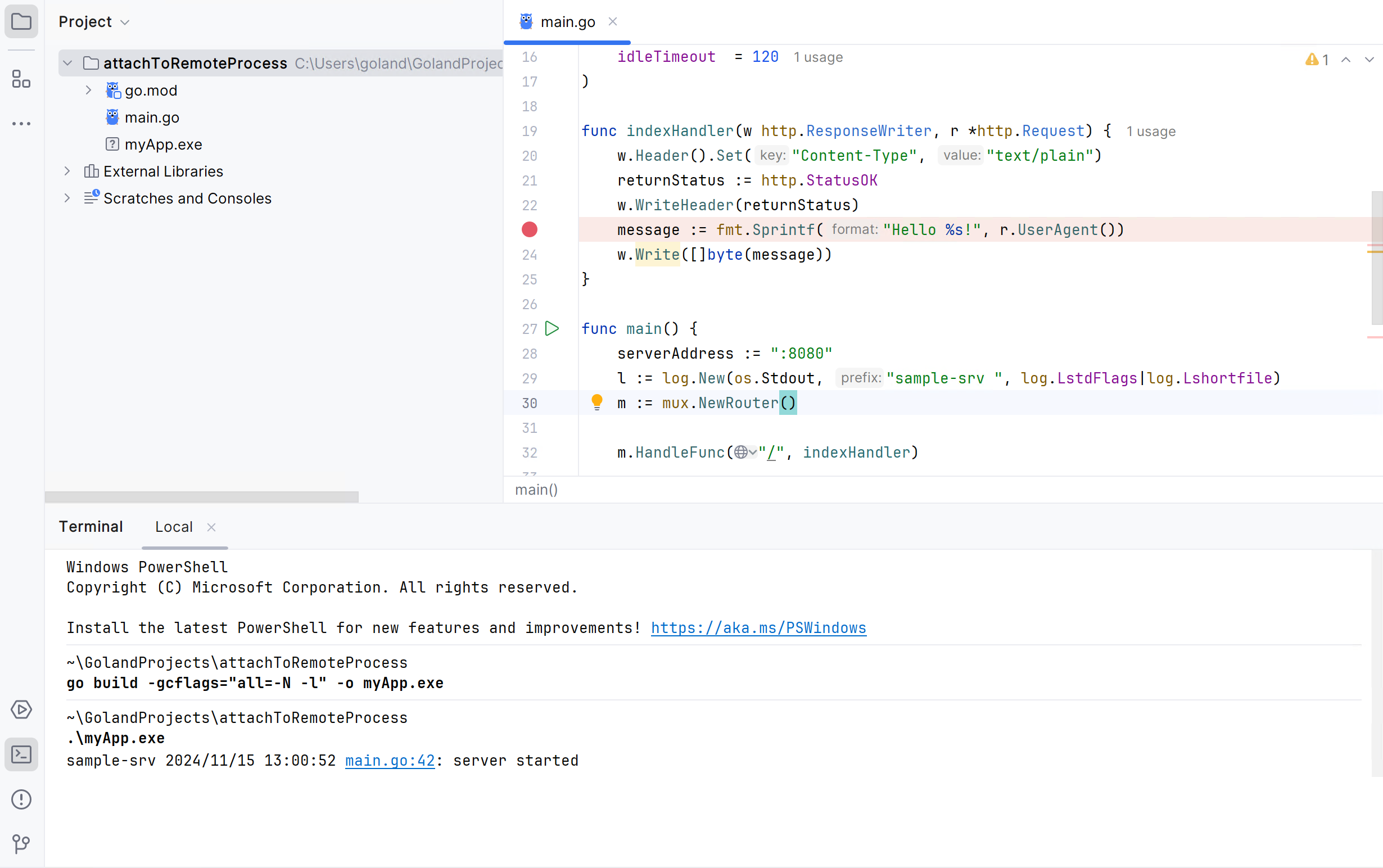 Build the application with gcflags flags Build the application with gcflags flags