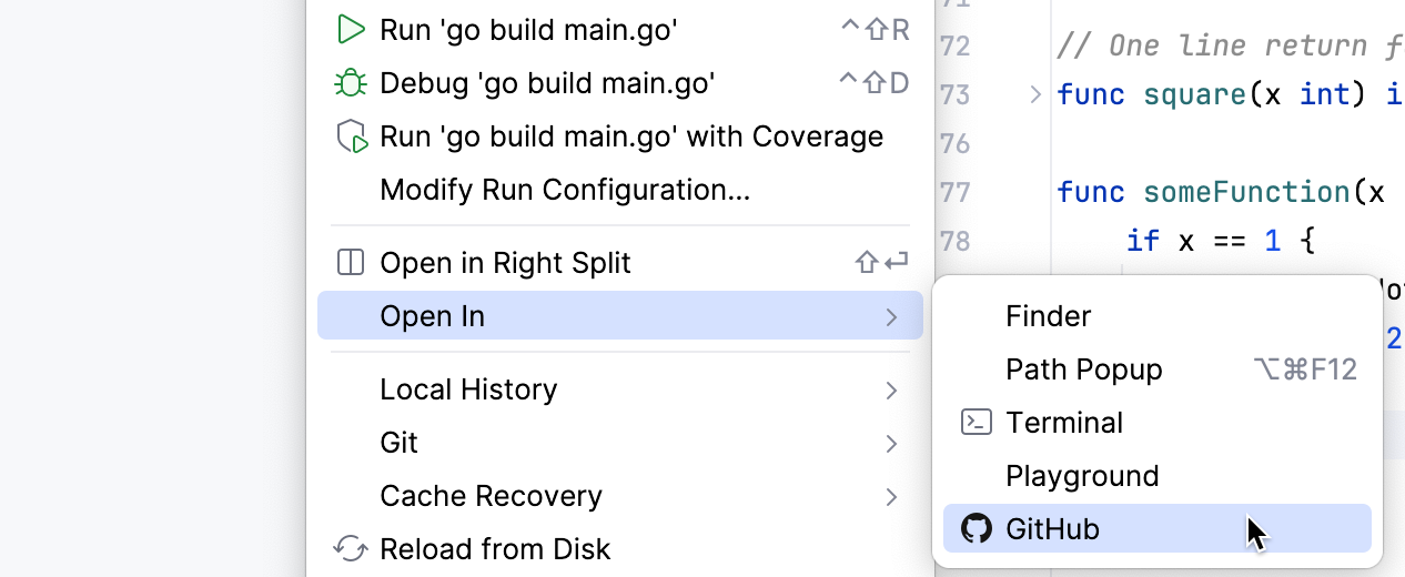 打开 GitHub 版本的文件