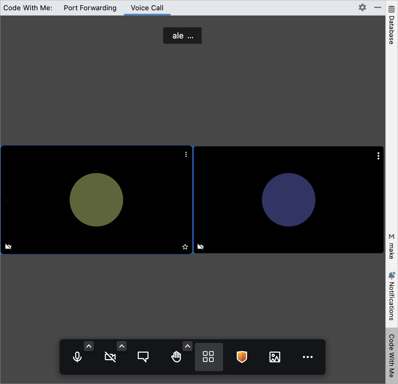 the Code With Me tool window the Code With Me tool window