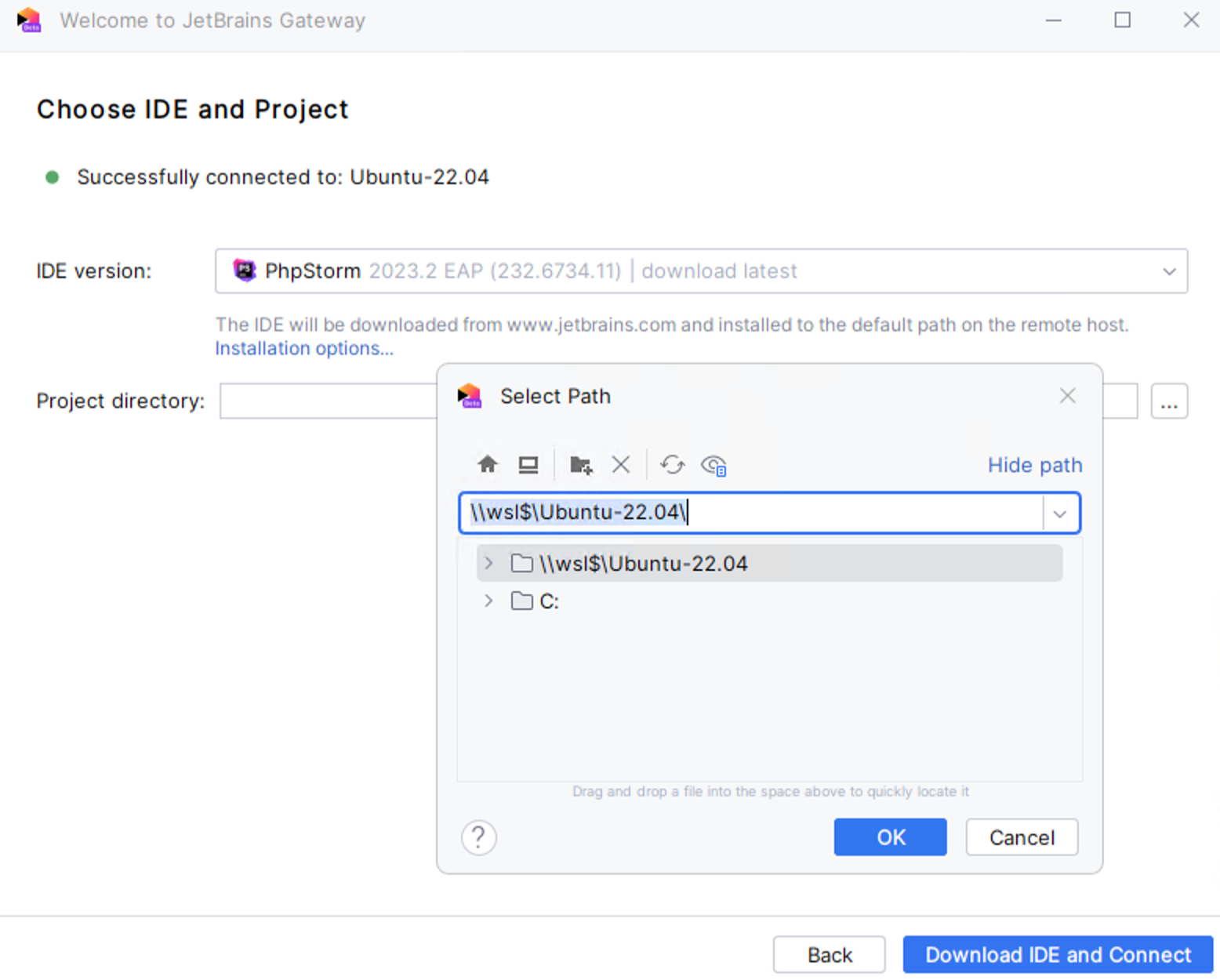 Choose the IDE version and a project Choose the IDE version and a project