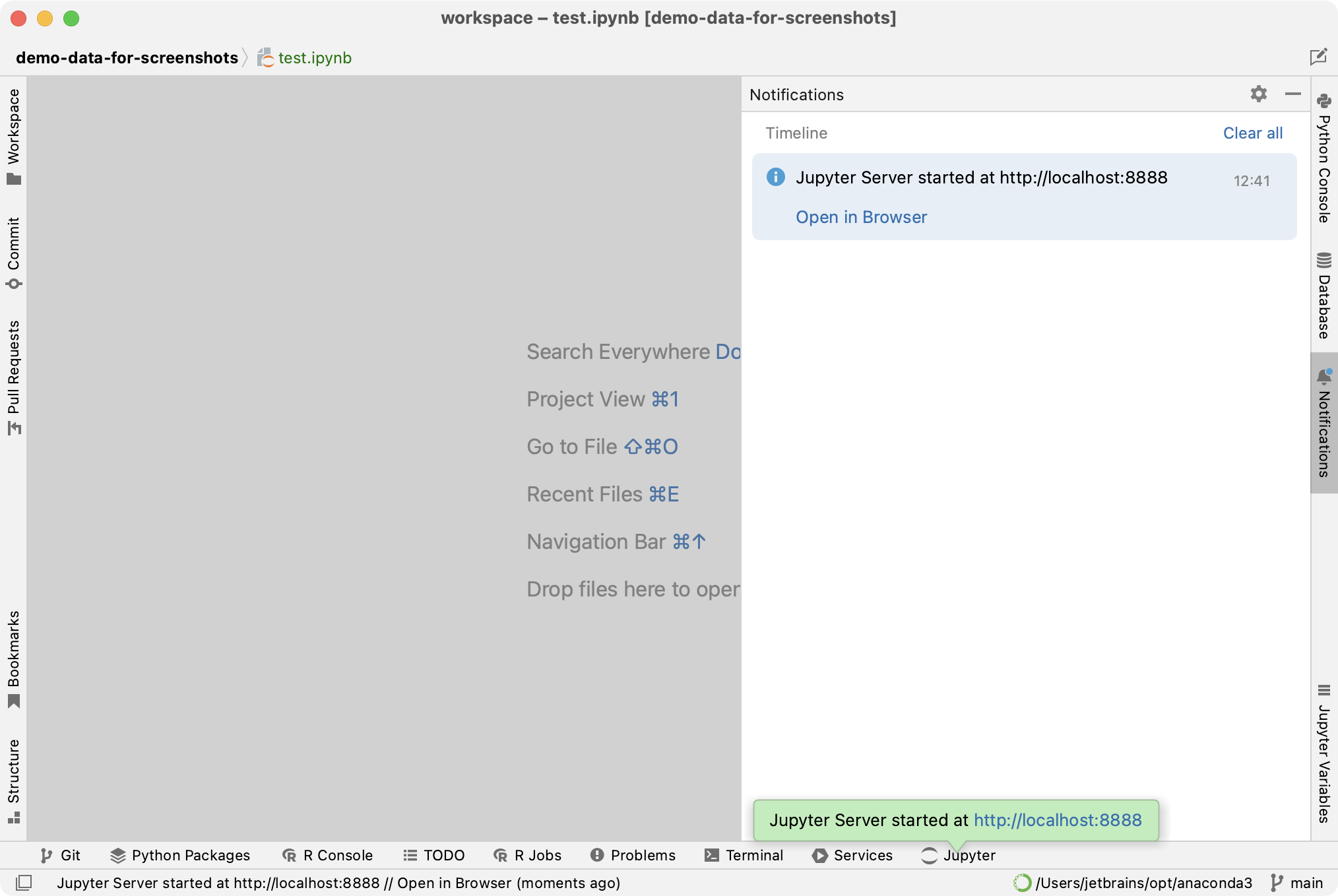 DataSpell 中的通知