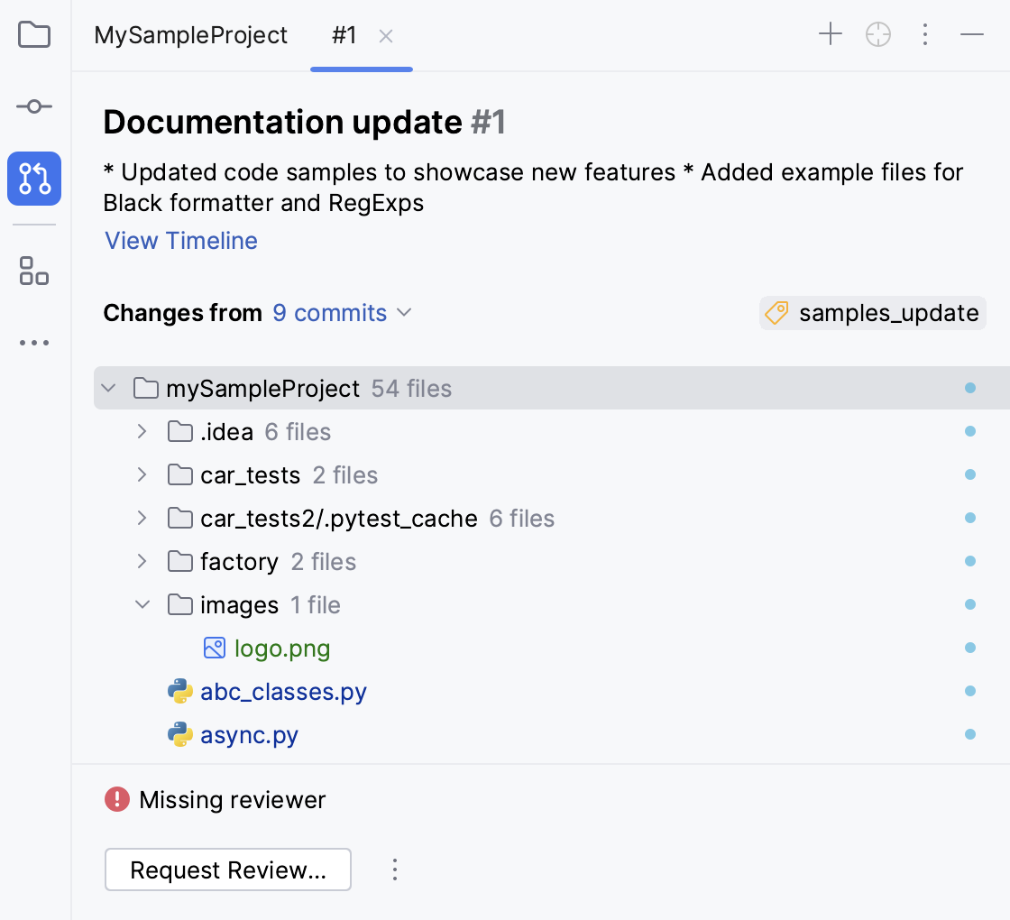 选定拉取请求的概览选项卡