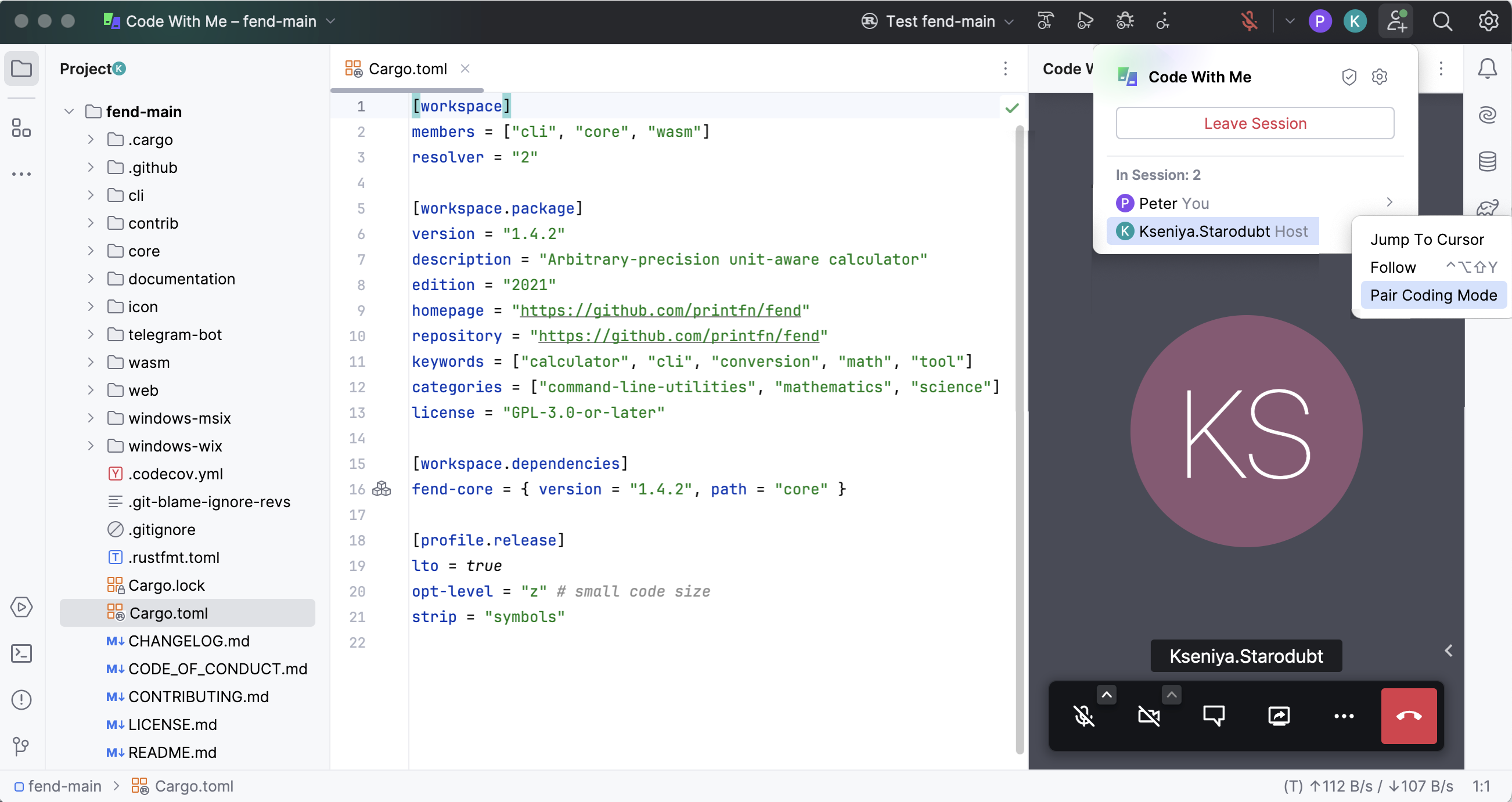 Code with Me 客户端界面 Code with Me 客户端界面