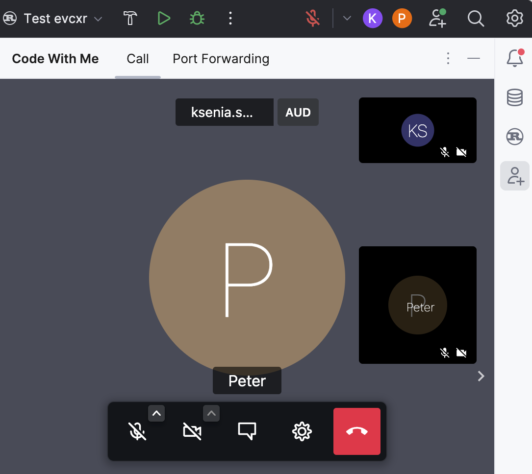 Code With Me 工具窗口