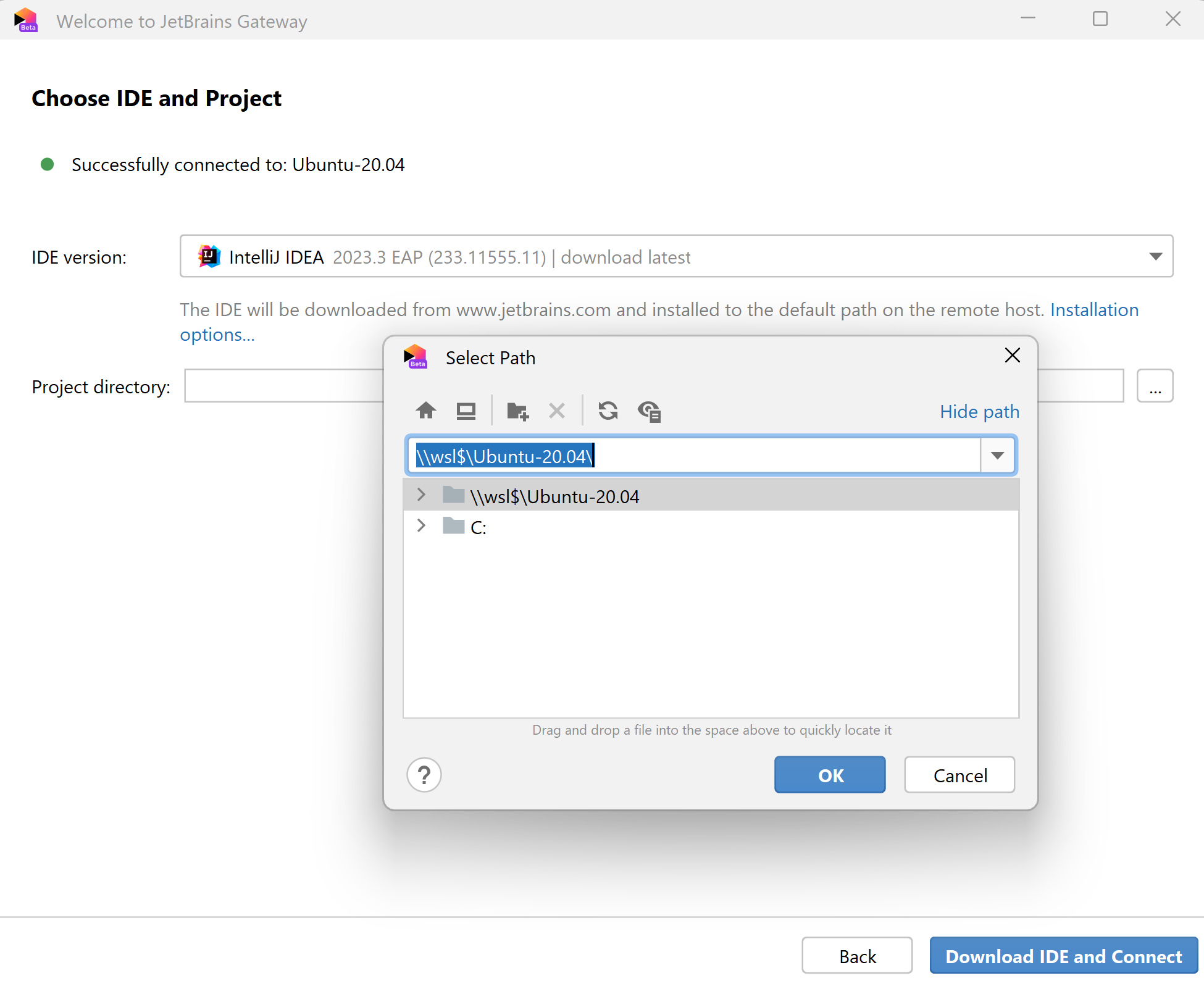 选择 IDE 版本和项目