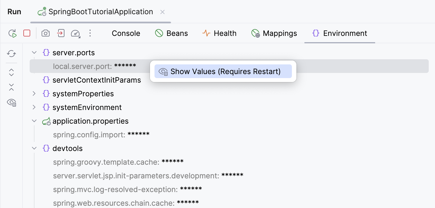 Spring Boot Environment tab Spring Boot Environment tab