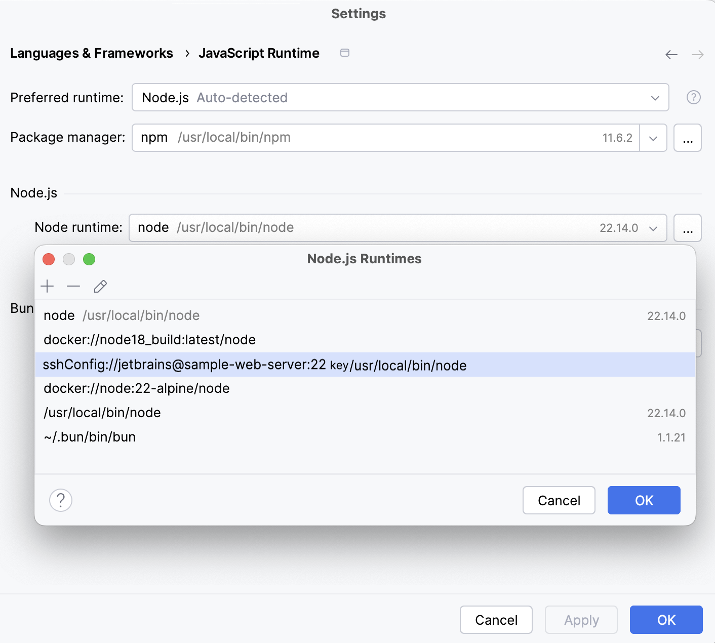 远程运行时对话框:通过 SSH 的新 Node.js 运行时已添加到列表 远程运行时对话框:通过 SSH 的新 Node.js 运行时已添加到列表