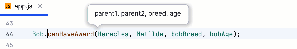 工具提示中的参数提示