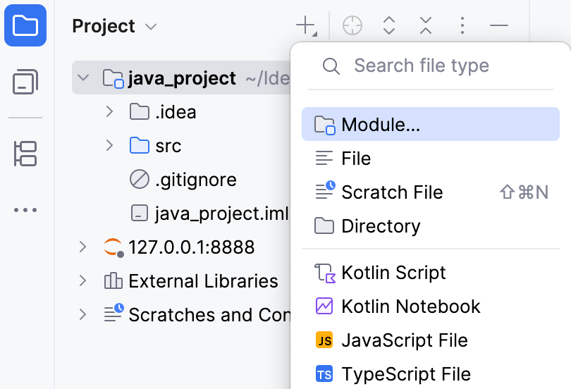 Add Module to Project