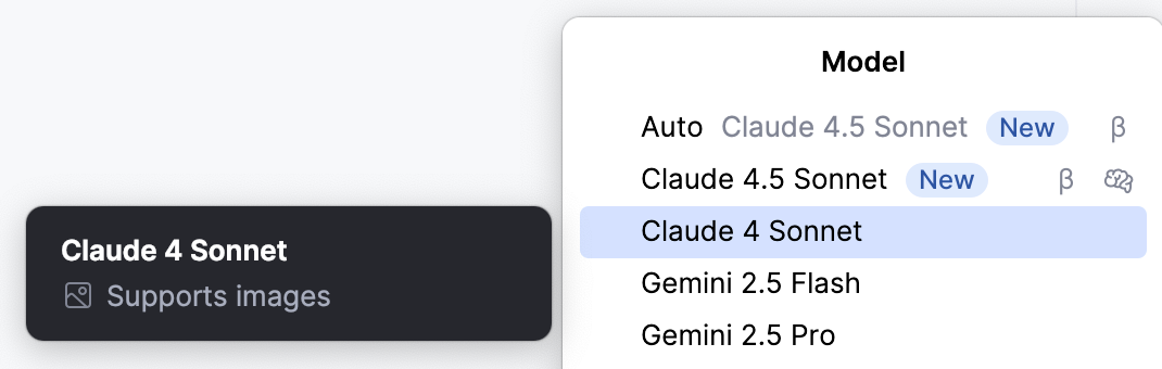 Models supporting images