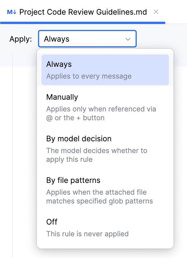 Project rules types Project rules types