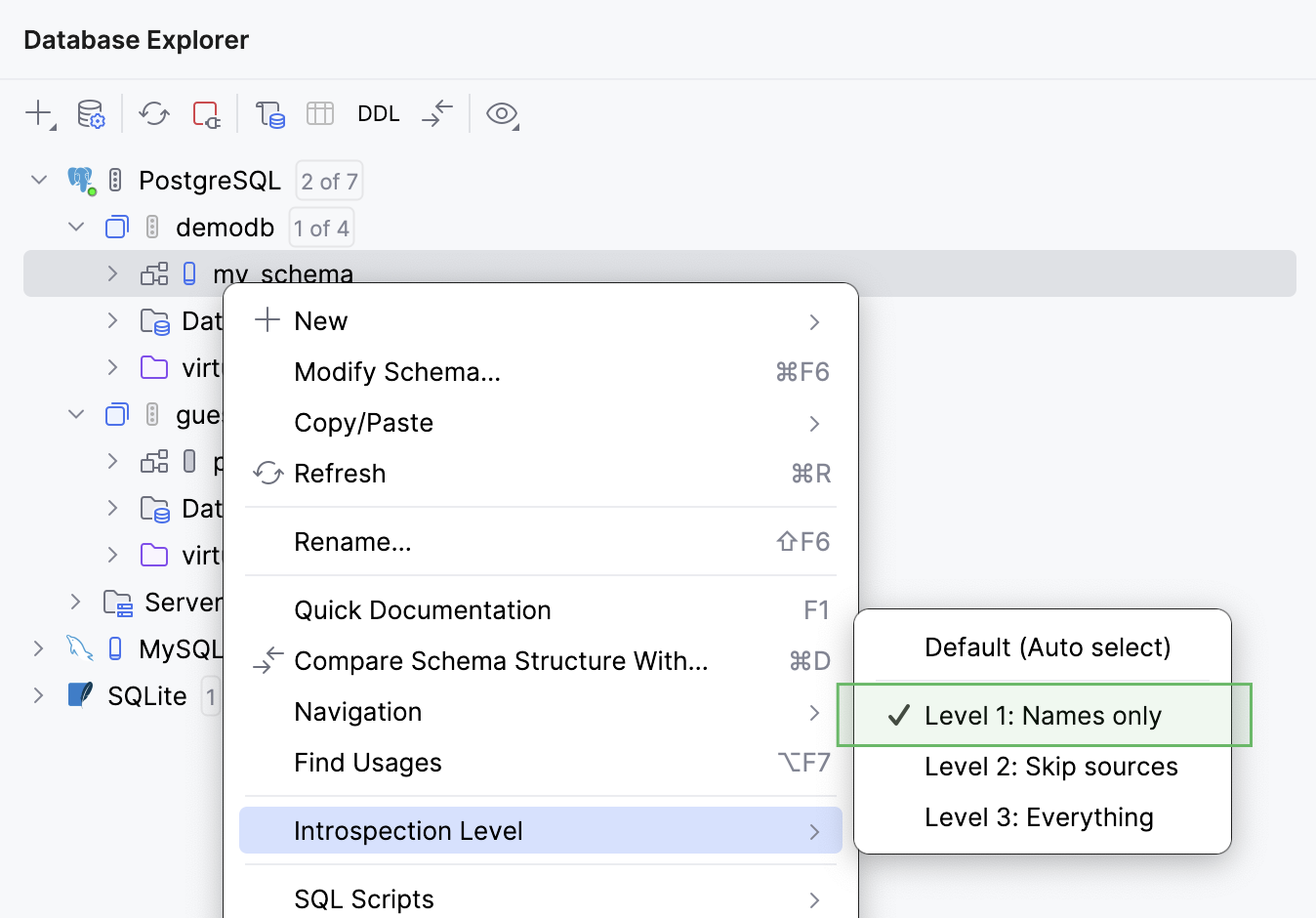 The introspection level selected currently for a database schema