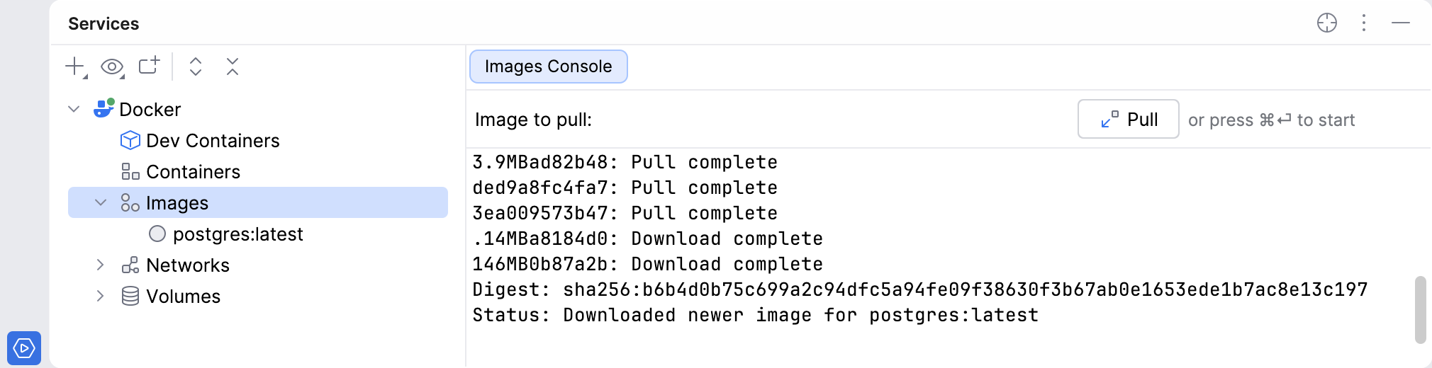 The Docker image was pulled The Docker image was pulled