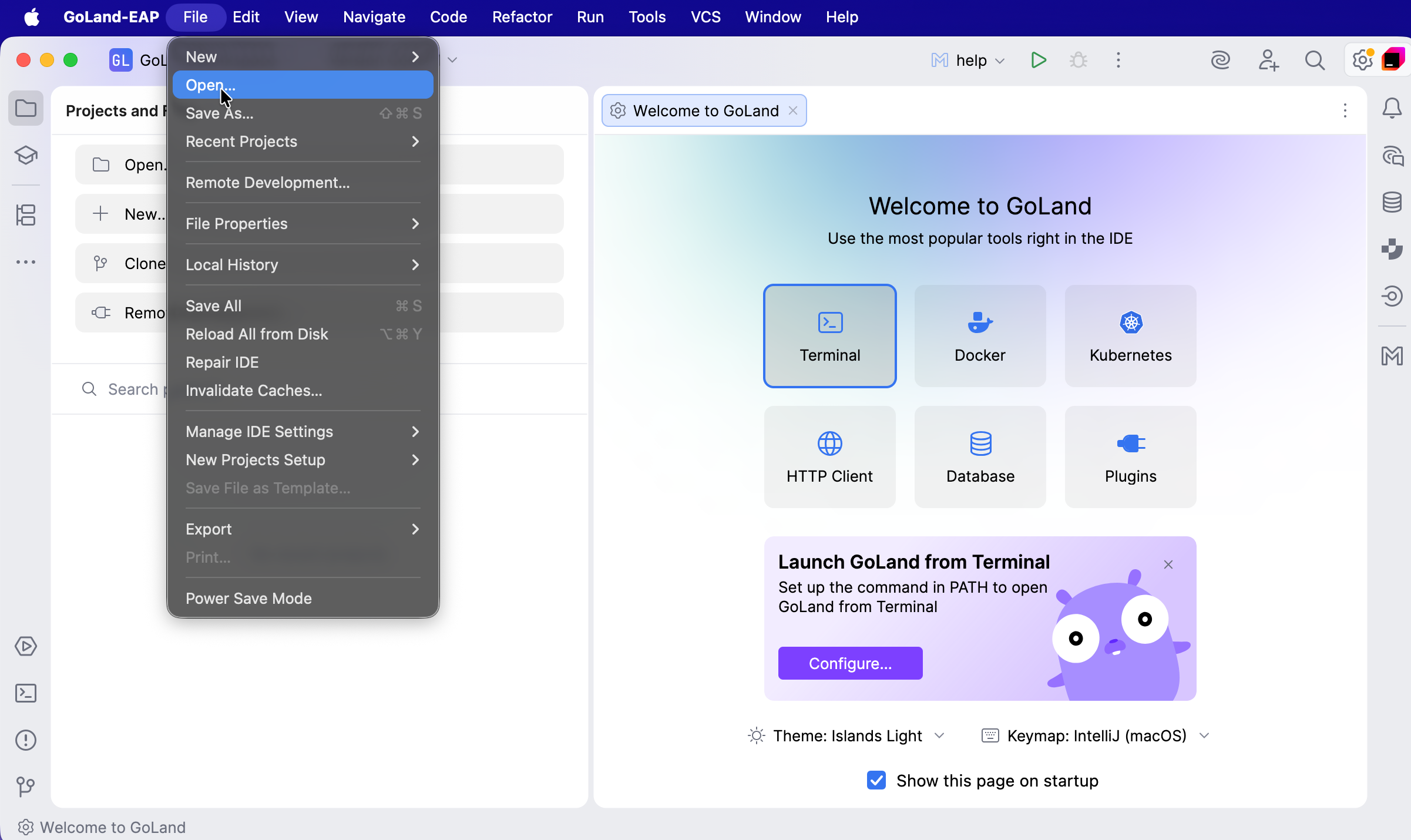 GoLand 中的打开文件对话框