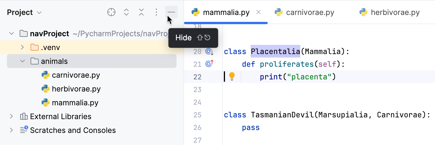 隐藏项目工具窗口
