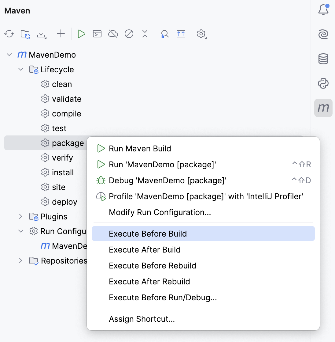 the Execute Before Build option the Execute Before Build option