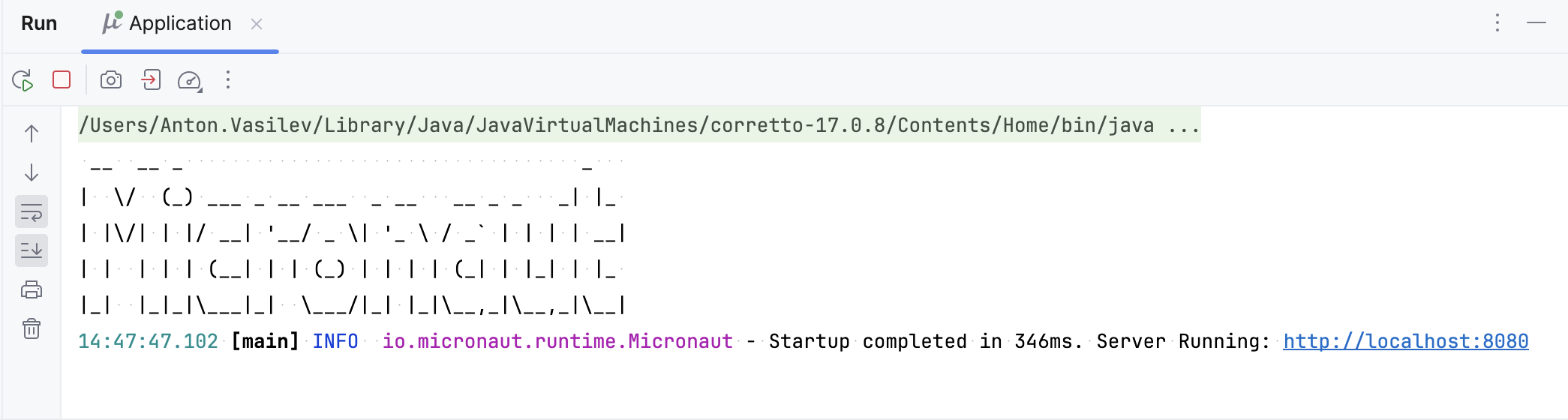Micronaut application running in the Run tool window Micronaut application running in the Run tool window