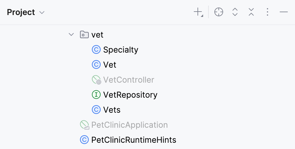 Bean classes have different icons in the Project tool window Bean classes have different icons in the Project tool window