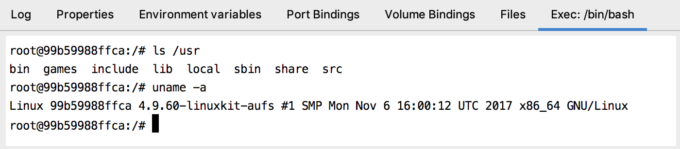 The Exec tab with /bin/bash running The Exec tab with /bin/bash running