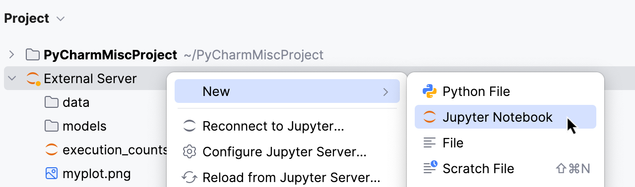 Add a remote server file