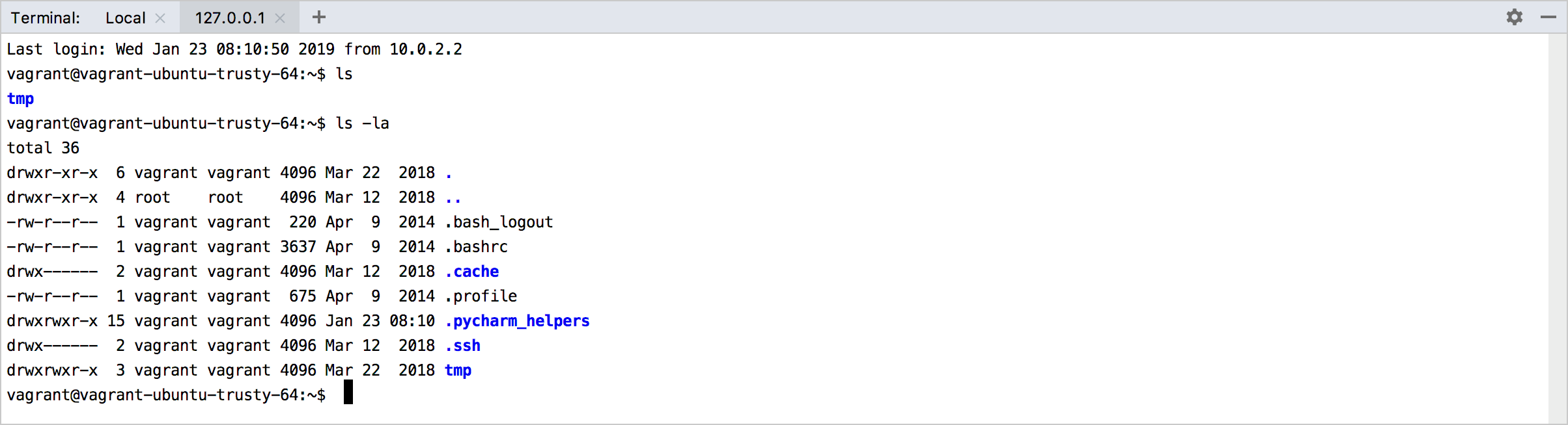 在终端中使用 Vagrant