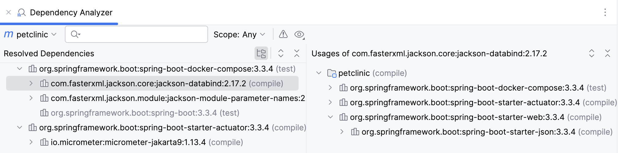 Resolved dependencies