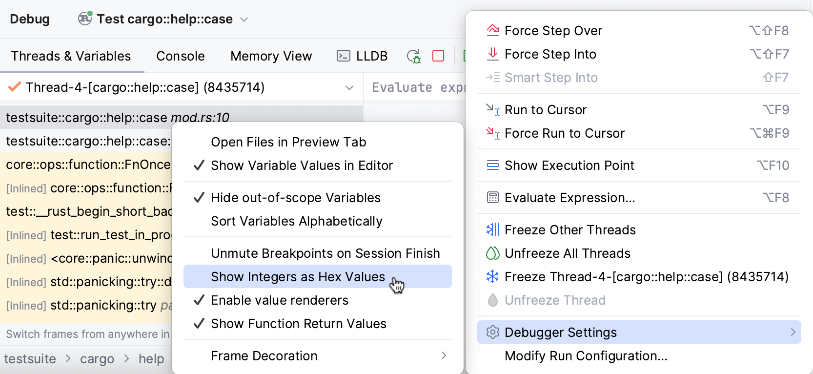 启用十六进制视图