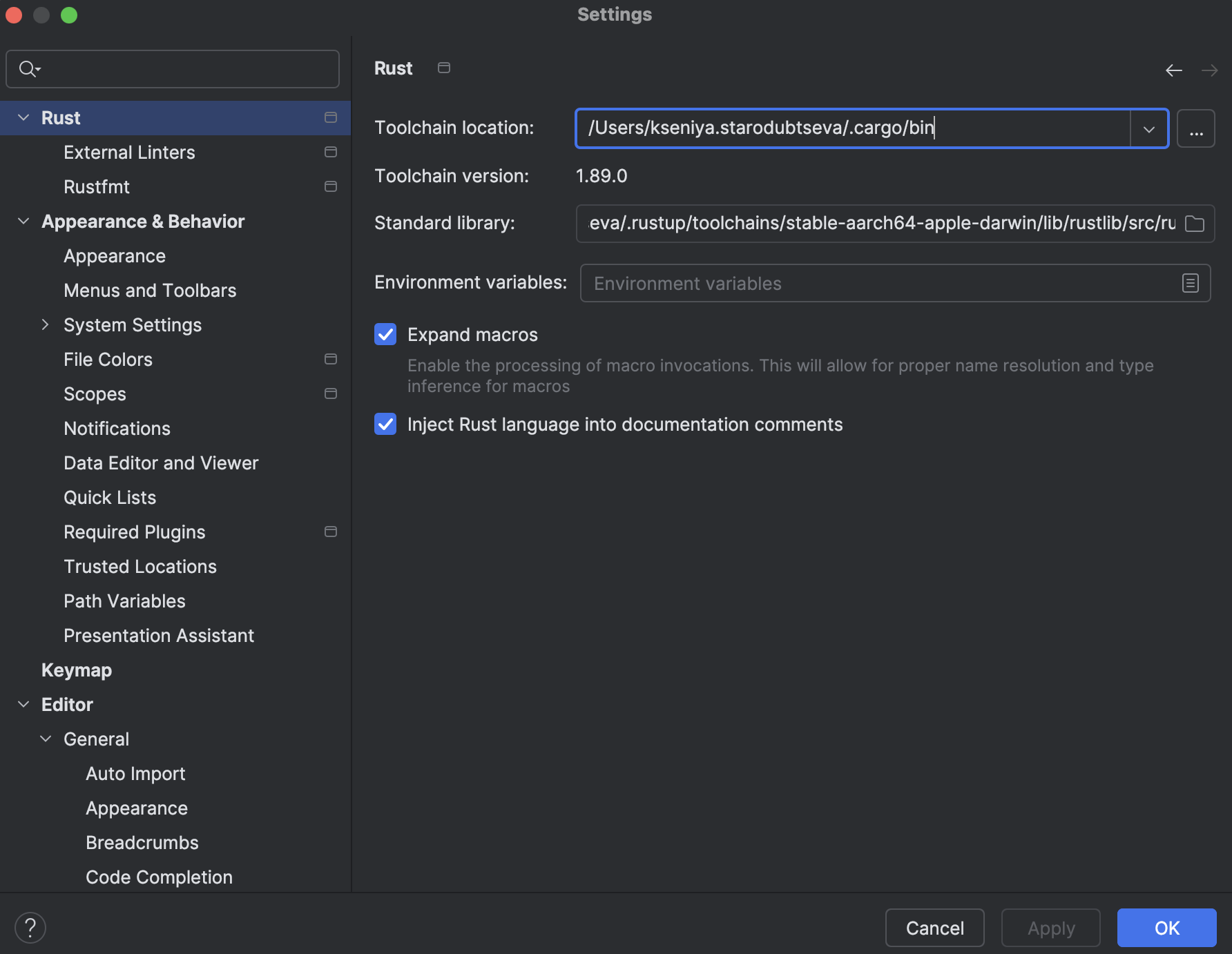 配置 IDE | RustRover 文档