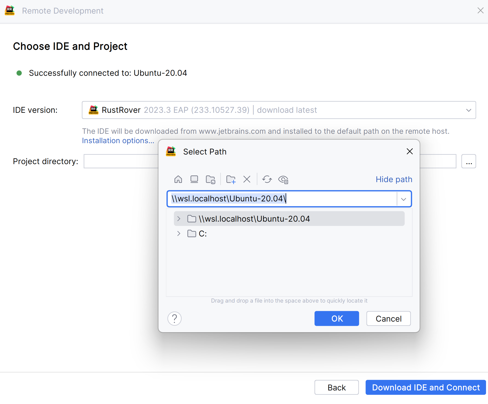 选择 IDE 版本和项目