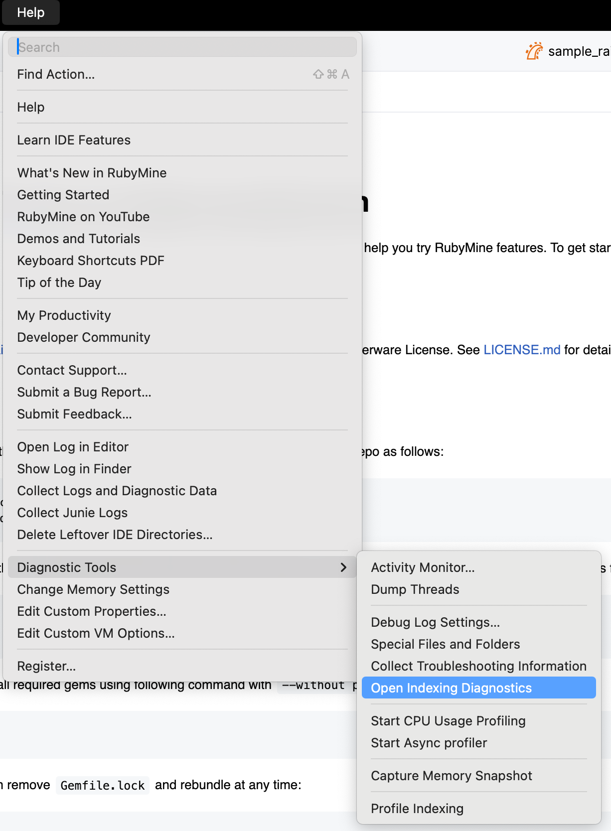 Opening indexing diagnostics Opening indexing diagnostics