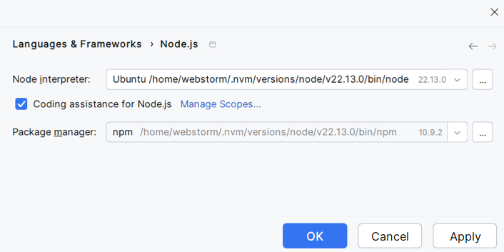 The newly configured Node.js runtime is added to the list and set as default for the current project