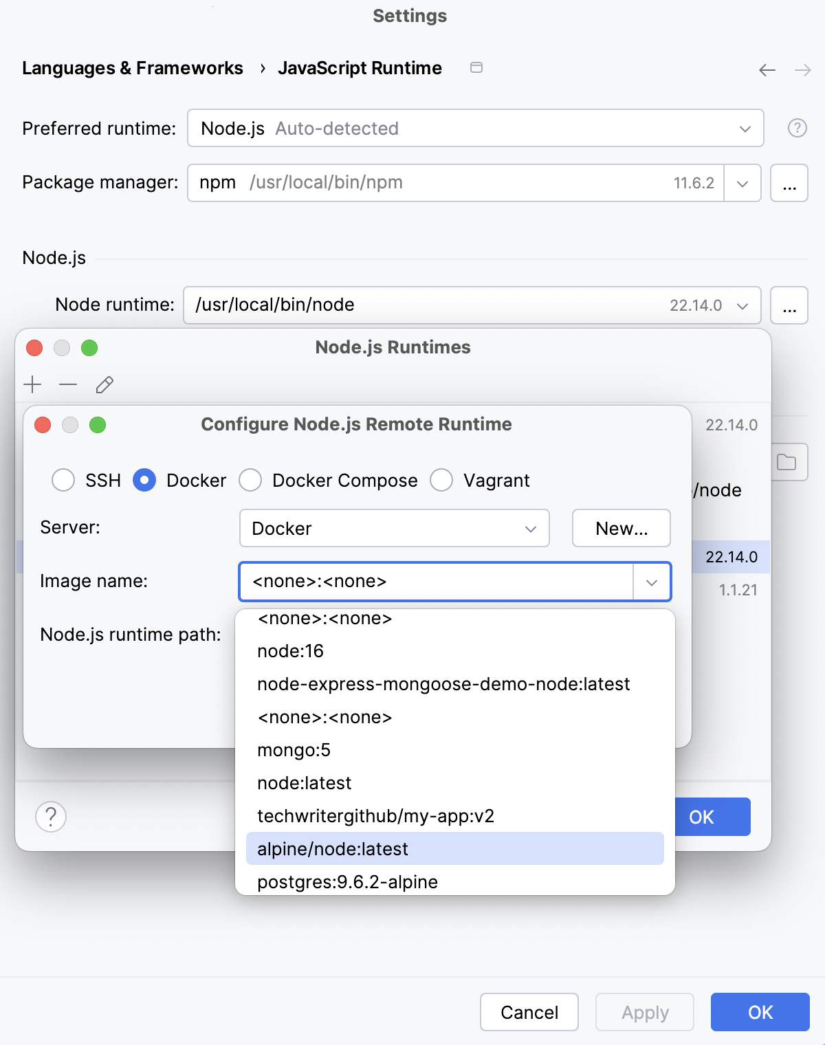 Configure Node.js runtime in a Docker container: select Docker image