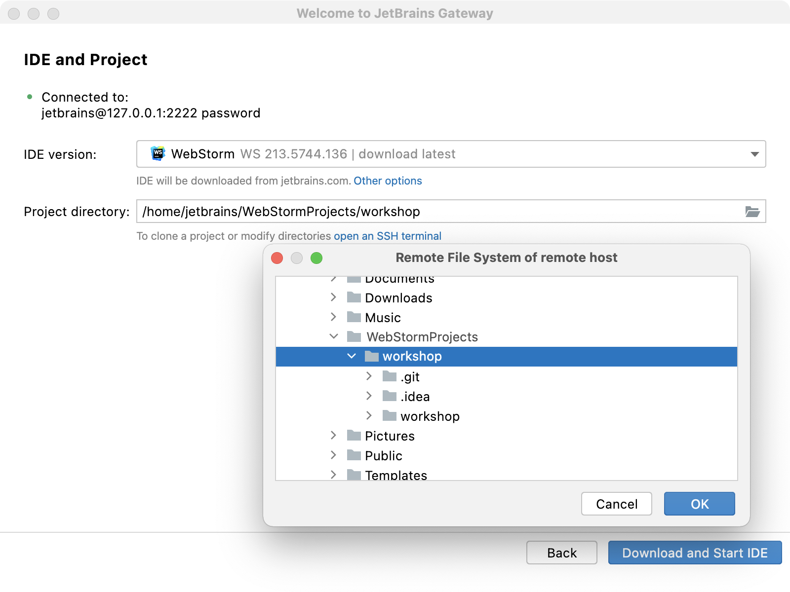 Path to remote project