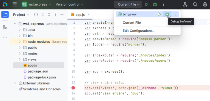 Debug applications in WSL: start a debugging session