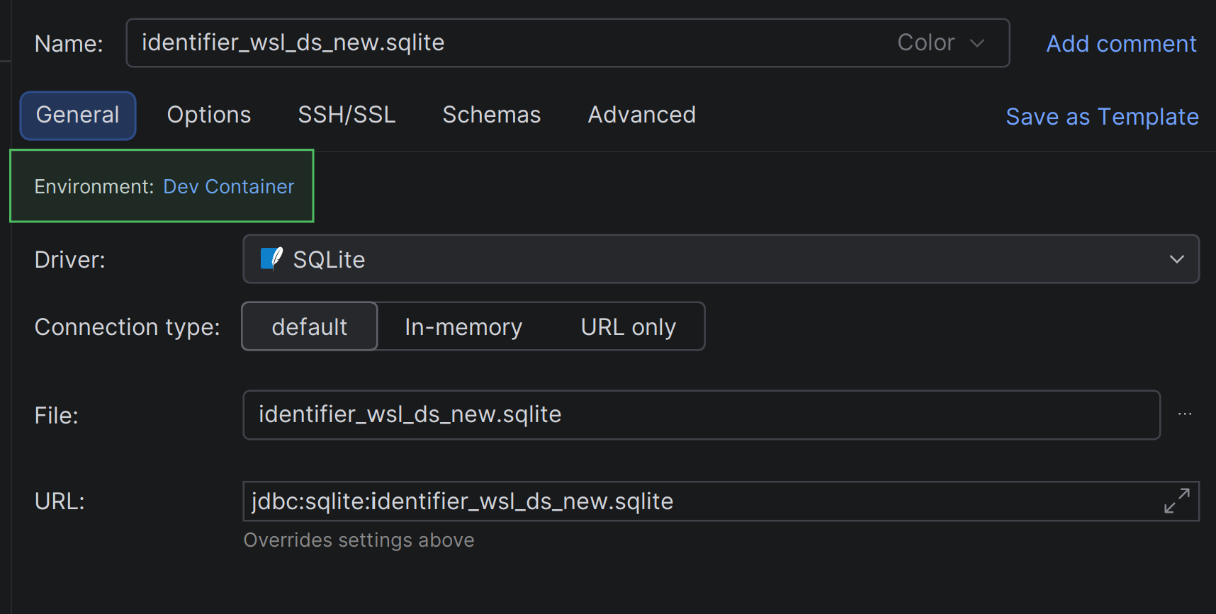 The Environment data source setting for a data source in WSL The Environment data source setting for a data source in WSL