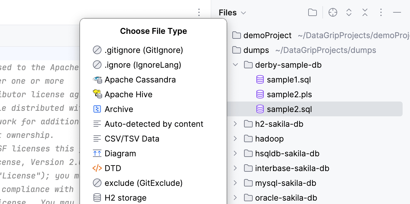 DataGrip：从文件工具窗口更改文件类型