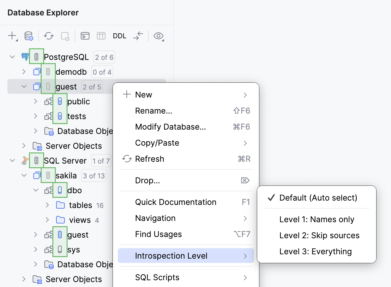 Database Explorer 中的内省级别