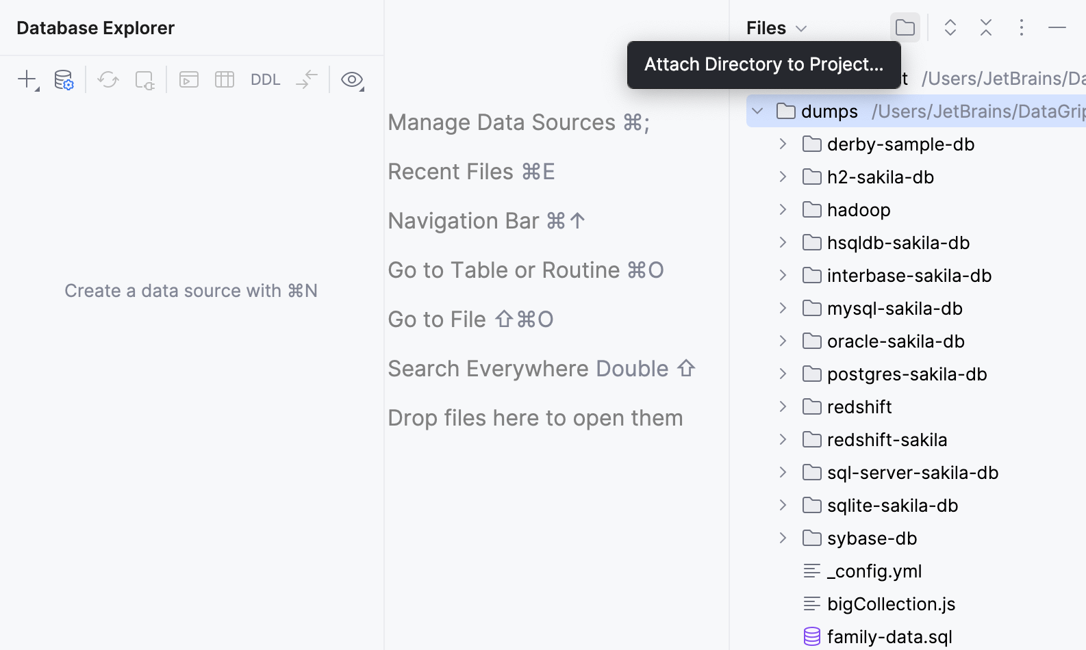 Directory with dump files is attached to the DataGrip project Directory with dump files is attached to the DataGrip project