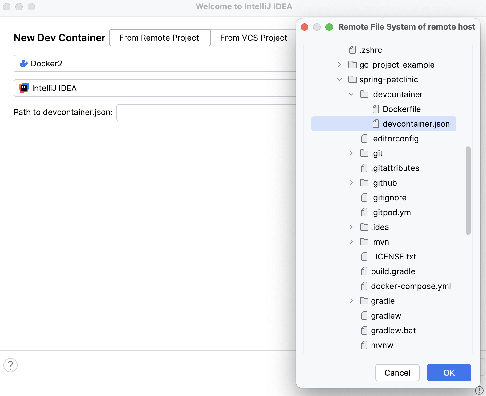 JSON file from a remote file system JSON file from a remote file system