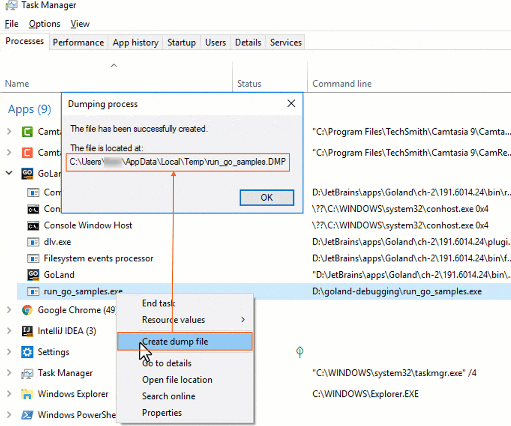 在 Windows 上创建 minidump 文件
