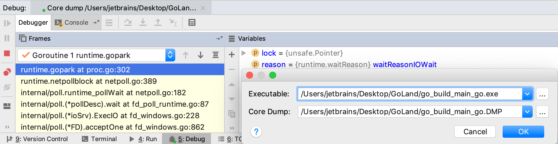 在 IntelliJ IDEA 中打开 minidump 文件